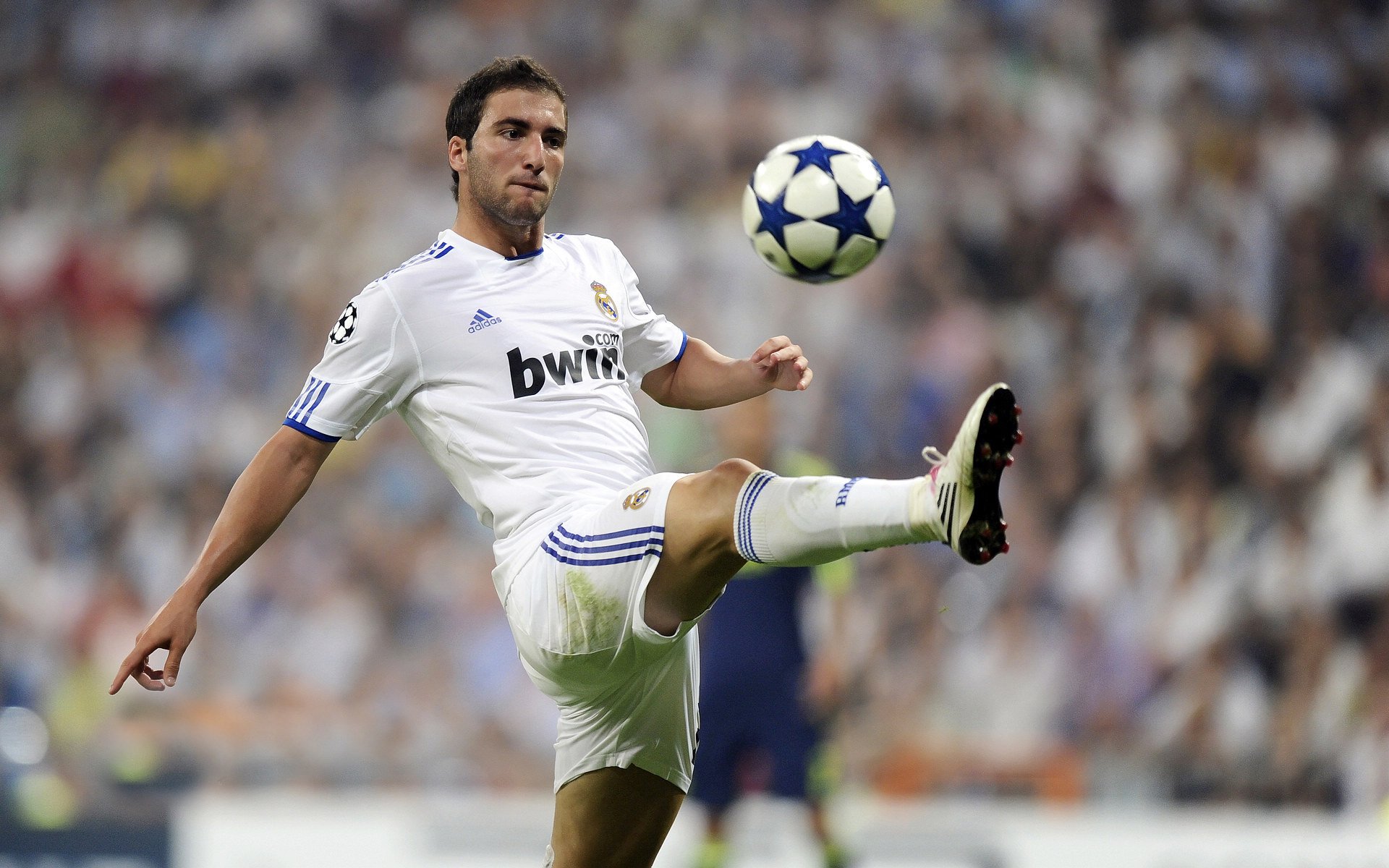 美洲杯明星纷纷亮相：精彩不断，激情无限！，美洲杯经典