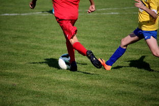 爱游戏登录入口-比利时男篮在欧洲预赛中坚持不懈，目标奥运荣誉，比利时男子篮球队